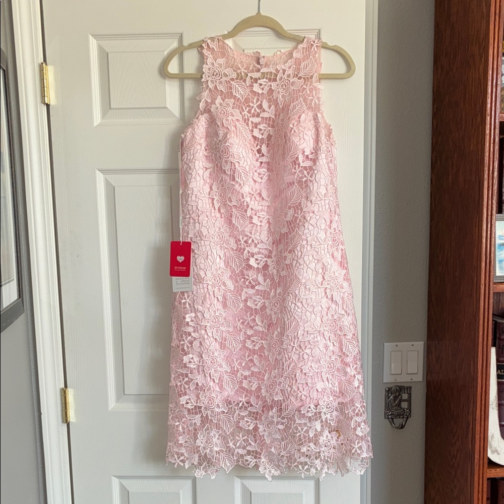 JJs House Blush Pink Lace Mini Dress